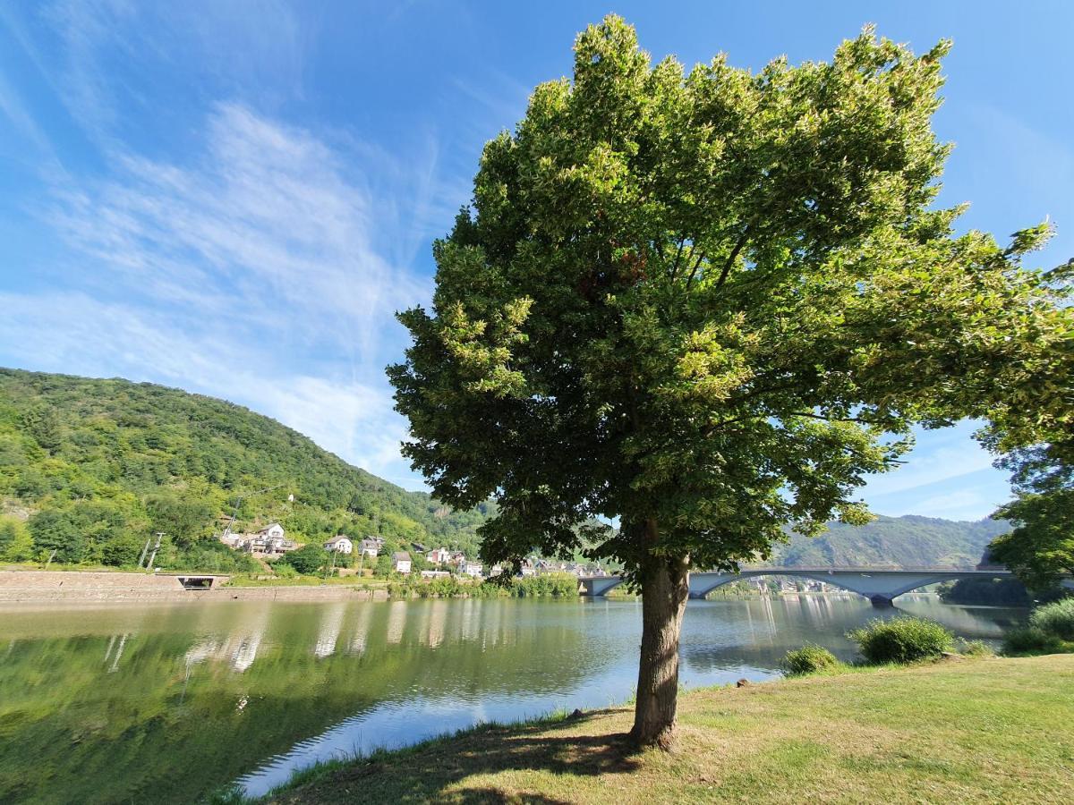 Mv Roemervilla, Lofts & Penthouses Mit Traumhaftem Moselpanoramablick Und Sauna Treis-Karden Luaran gambar